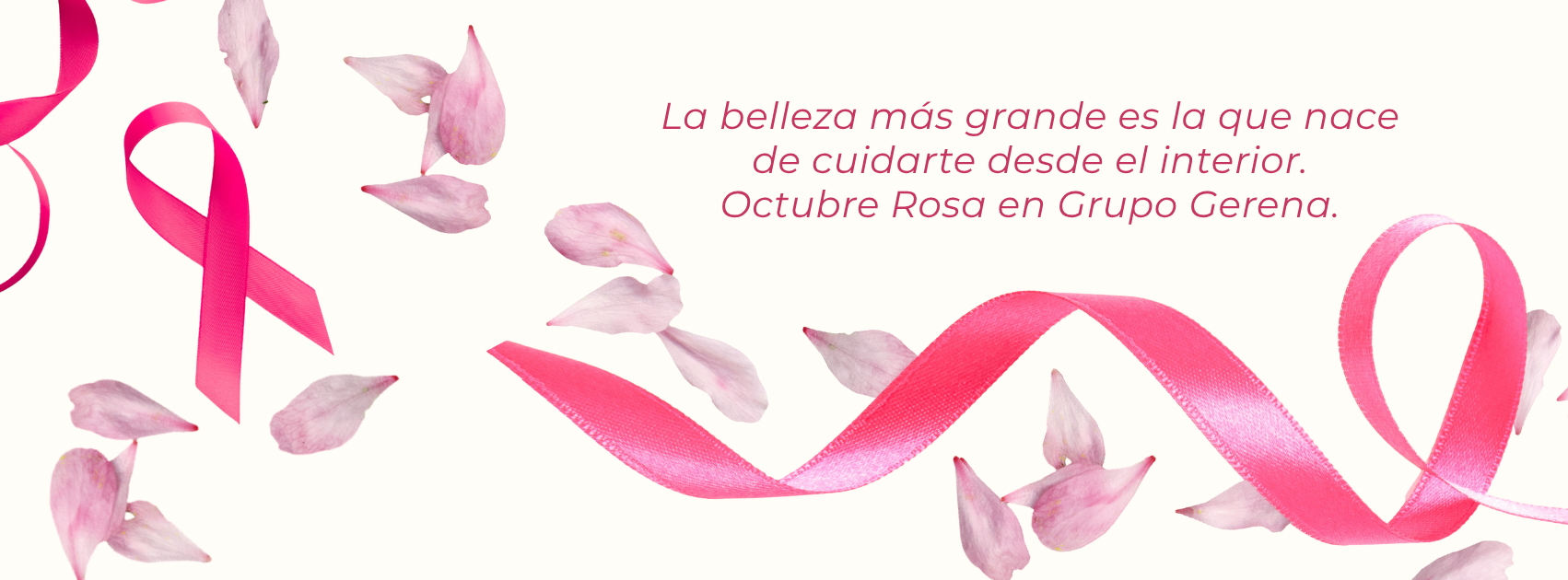distribuidores oficiales y exlcusivos de RICHESSE en México