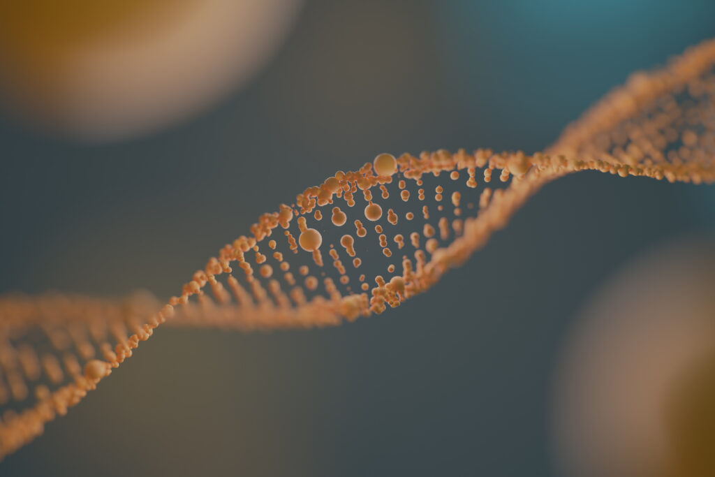 qué es el ADN de salmón y para qué sirve