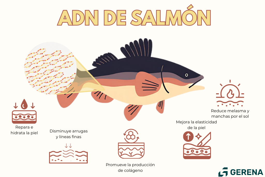 ¿Por qué se habla tanto del esperma de salmón en medicina estética?